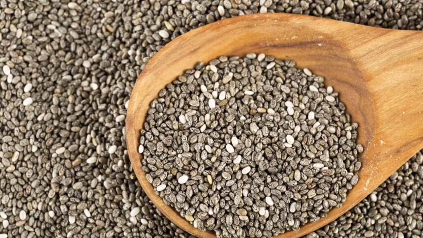 ચિયા સીડ્સના ફાયદાઓ જાણો 1 chea sheed chia sheed