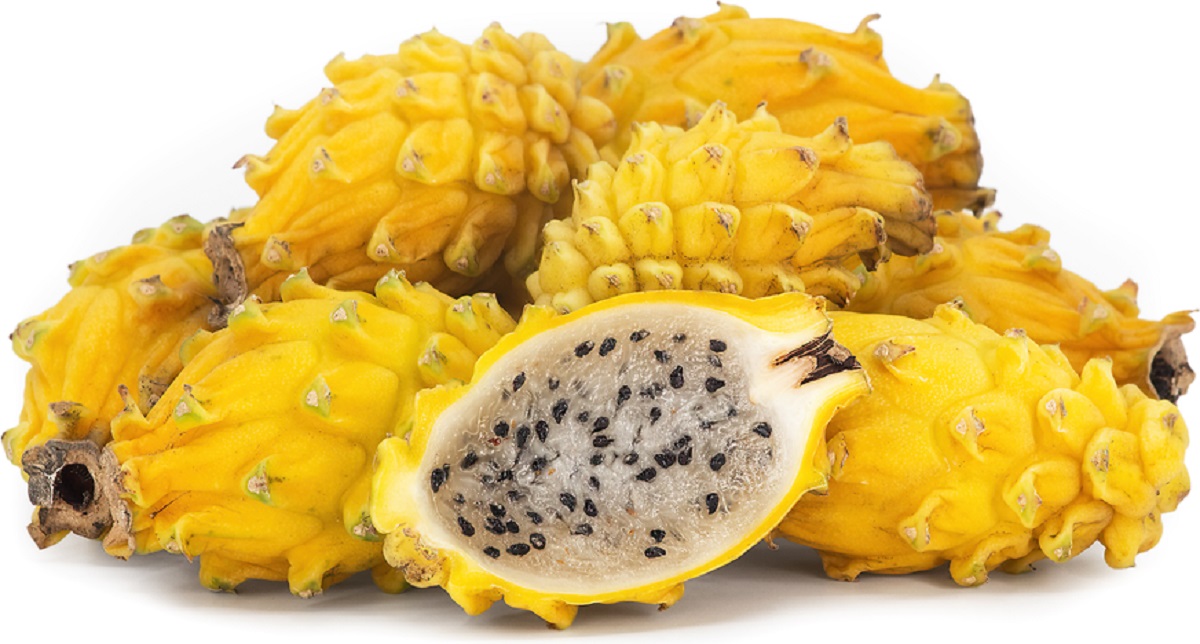 dragon yellow fruit