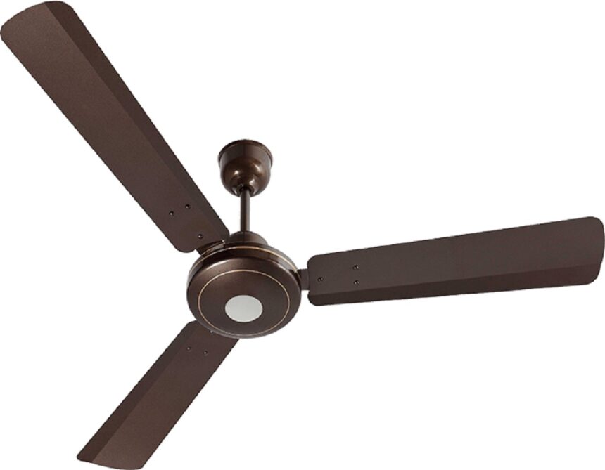 fan