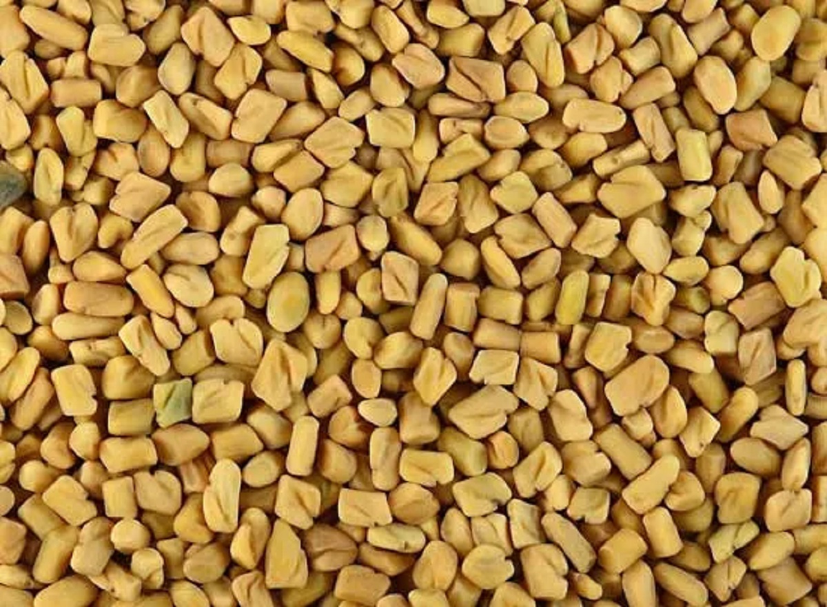 methi dana fenugreek