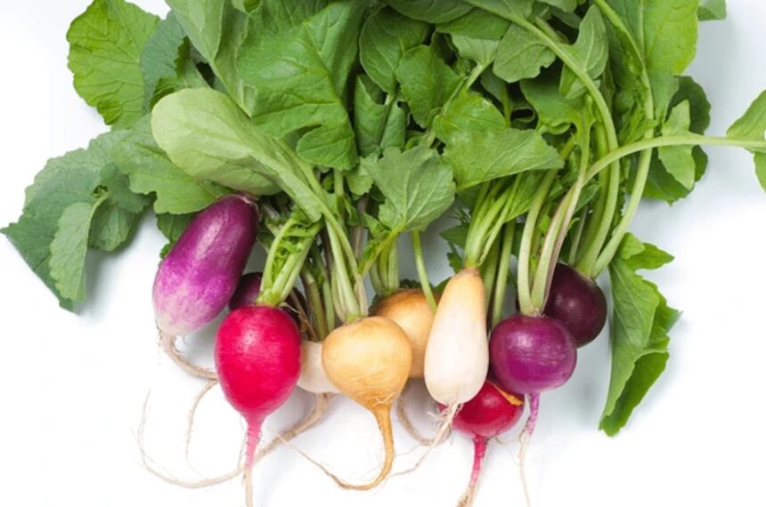 મૂળાના ફાયદા જાણો 1 mula radish