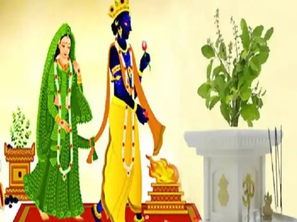 tulsi vivah