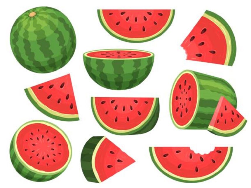 watermelon tarbuch