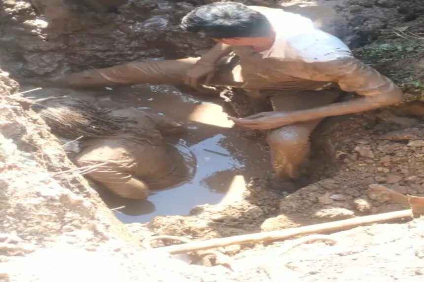 Lothal tragedy
