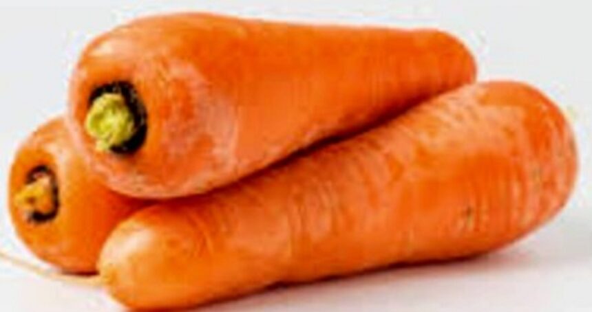 carrot gajjar