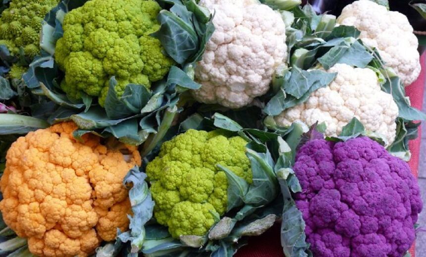 ફ્લાવરના ફાયદા જાણો 1 flowers full gobi