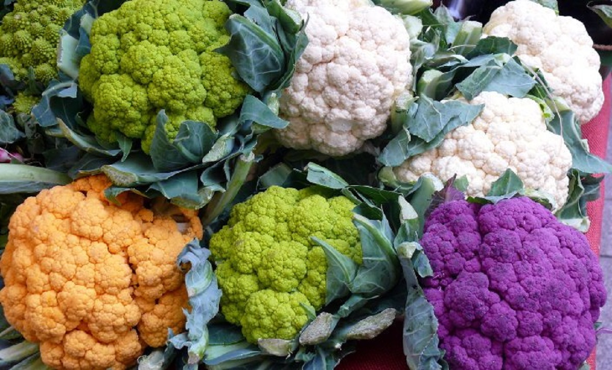 flowers full gobi