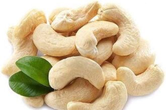 kaju cashew nut