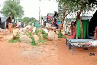 land encroachment