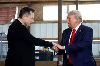 trumph elon musk