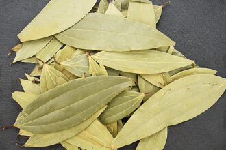 Bay leaves tamalpatra