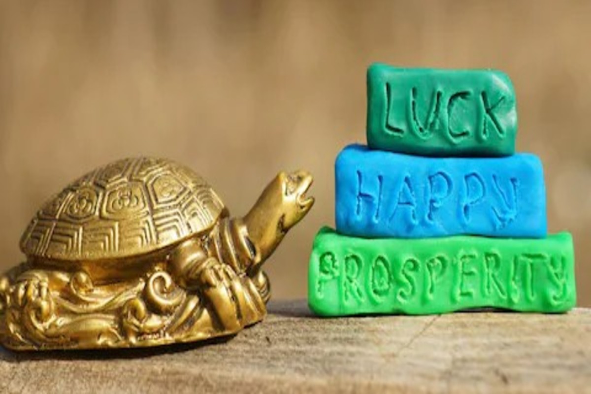 Feng Shui Turtle at Home