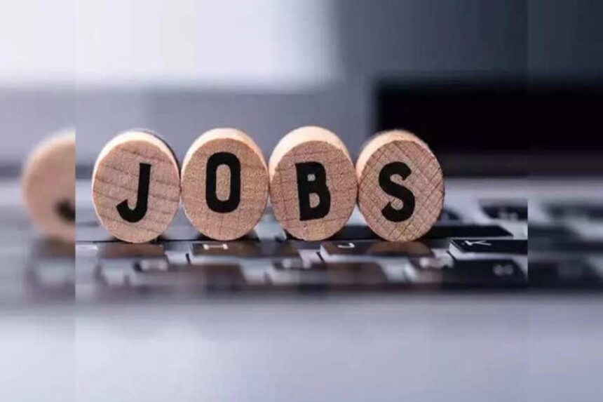 NCERT Recruitment 2024 : કોઈપણ લેખિત પરીક્ષા વિના NCERTમાં નોકરીની સુવર્ણ તક, પગાર 50 હજારથી વધુ હશે 1 NCERT Recruitment 2024