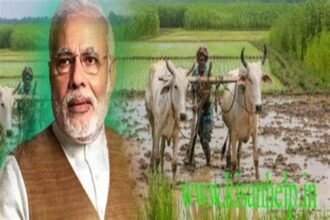 PM Kisan