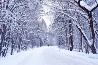 cold wave