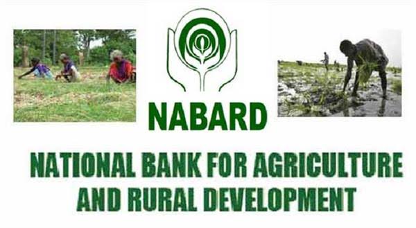 NABARD Recruitment 2024: લેખિત પરીક્ષા વિના રૂ. 3600000 ની નોકરી 1 images 11