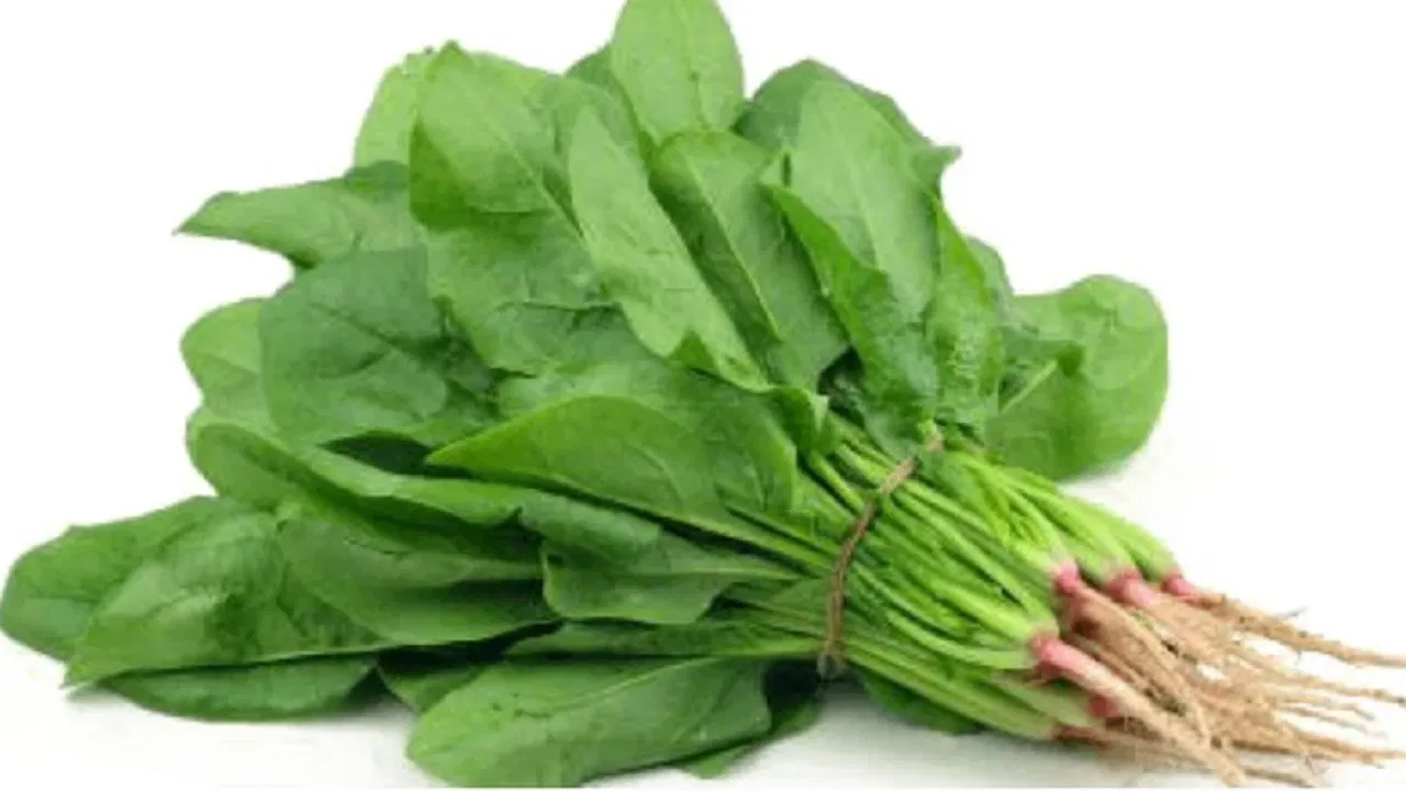 palak bhaji spinich