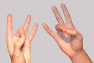 sandhi mudra 1 2