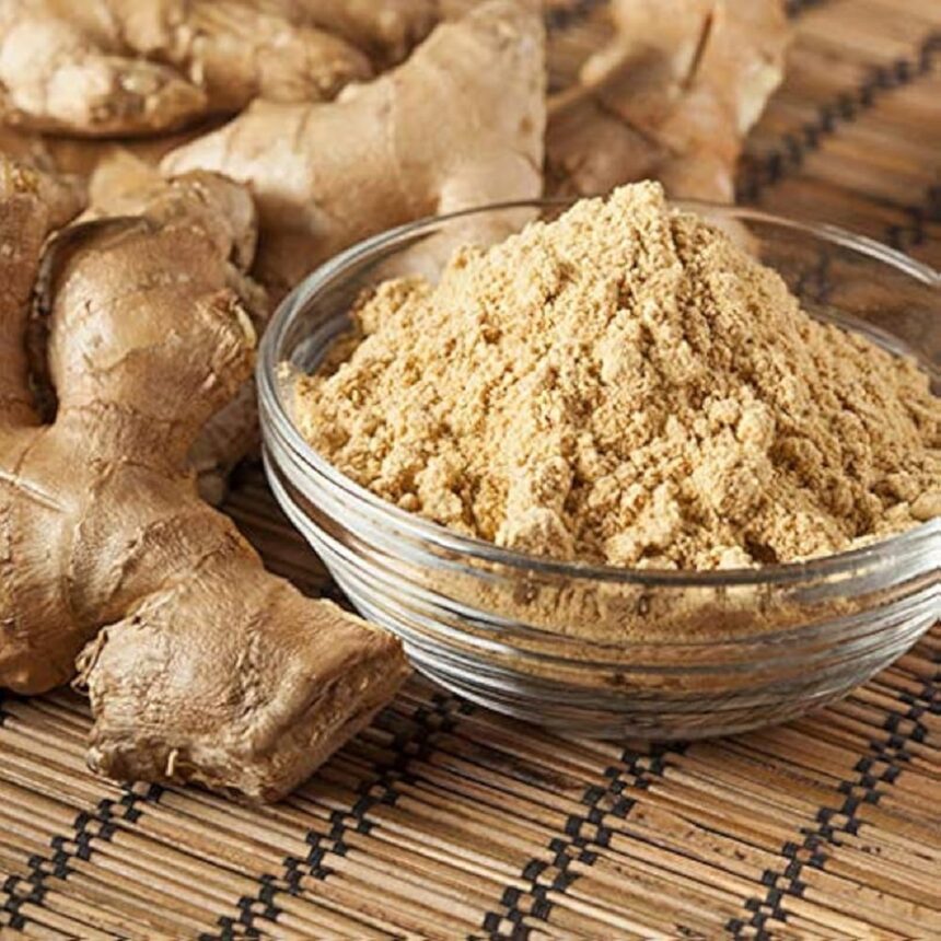 સુંઠના ફાયદાઓ જાણો 1 sunth gingger powder