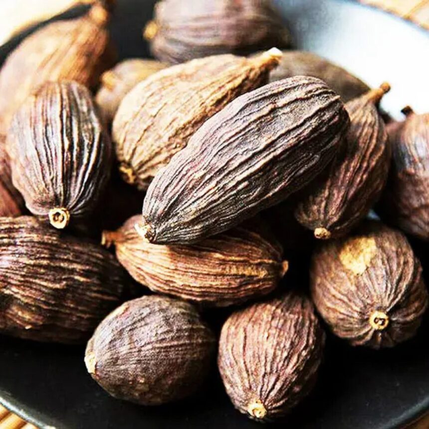 મોટી અથવા કાળી ઈલાયચી ખાવાના ફાયદા જાણો 1 Black Cardamom 1