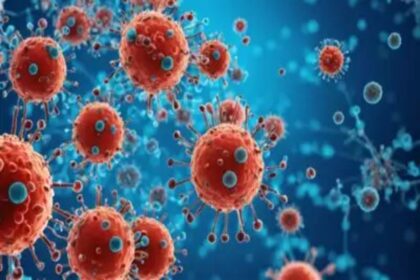 HMPV virus