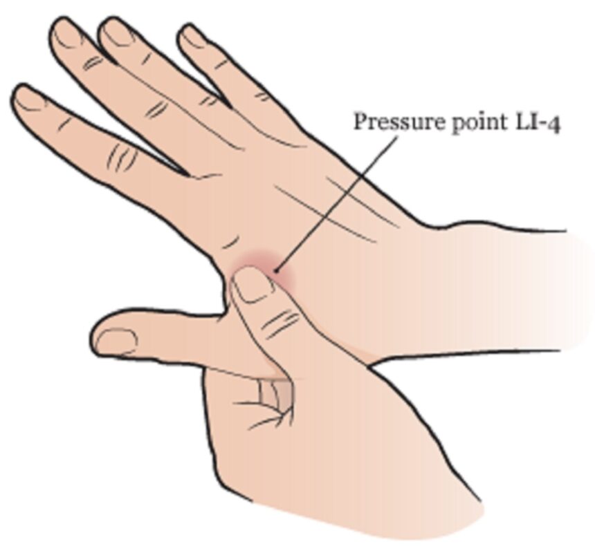 શરીરના વિવિધ પ્રેશર પોઈન્ટ વિશે જાણો 1 pressure points