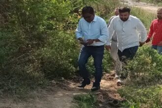 Vishwamitri Project