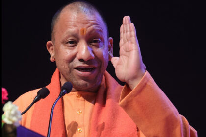 yogi