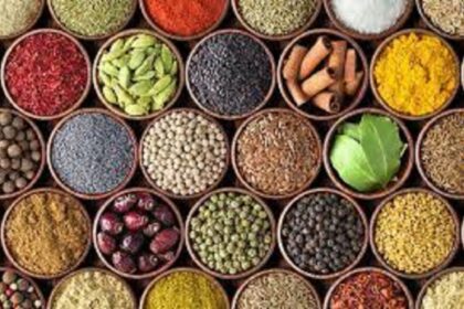 kitchen spices garam masala