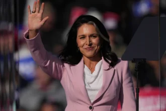 tulsi gabbard usa