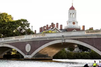 Study in Harvard University