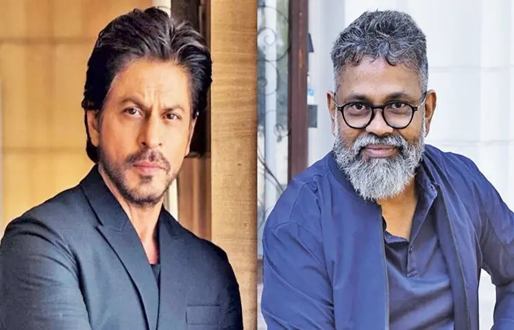 SRK New Project : શાહરૂખ ખાન અને 'પુષ્પા' દિગ્દર્શક સુકુમાર વચ્ચે નવી ફિલ્મ માટે ચર્ચા તેજ 1 SRK New Project