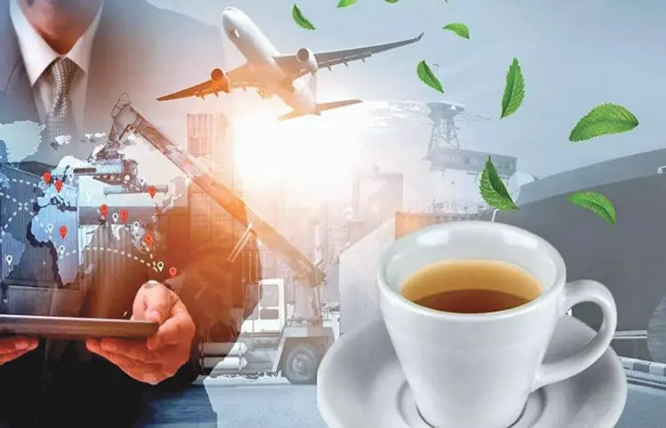 India Tea Export: ભારત ચાની નિકાસમાં શ્રીલંકાને પાછળ મૂકીને દુનિયાનો બીજો સૌથી મોટો દેશ બન્યો! 1 India Tea Export