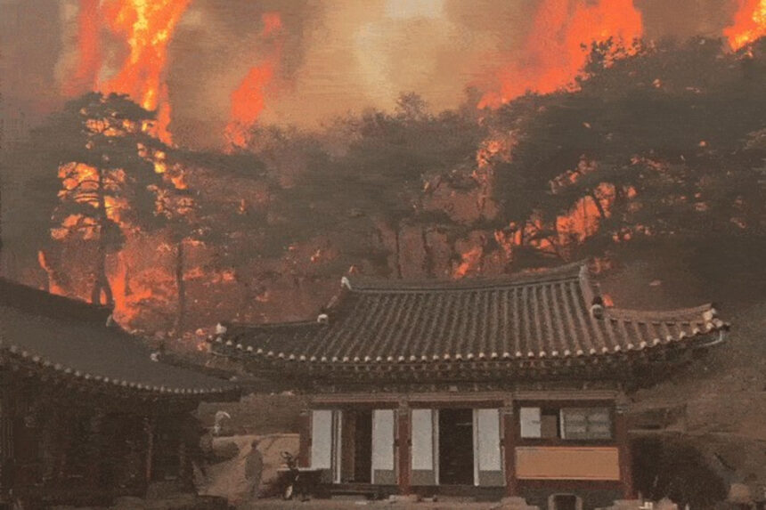 South Korea Fire: દક્ષિણ કોરિયામાં જંગલમાં આગ, 1500ને સલામત સ્થળે ખસેડવામાં આવ્યા! 1 South Korea Fire