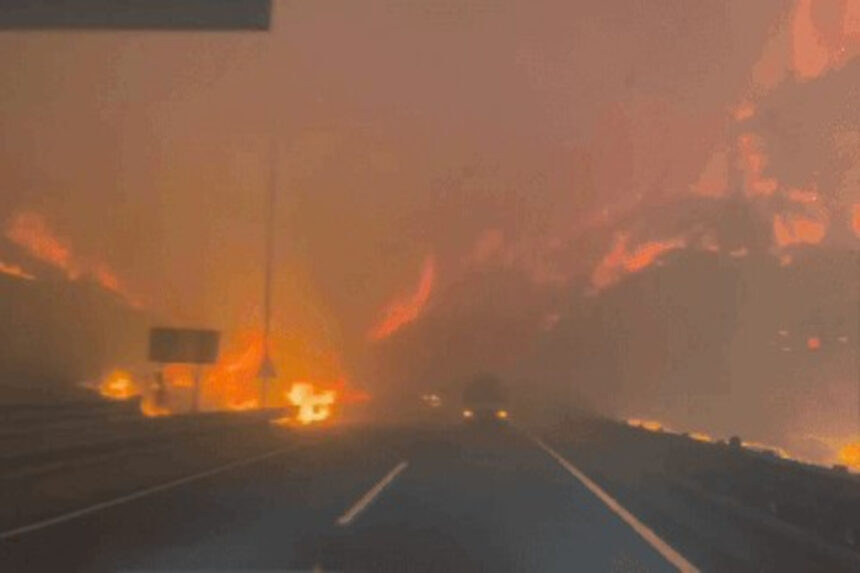 South Korea Fire News : દક્ષિણ કોરિયામાં ભીષણ આગ: 1300 વર્ષ જૂનું બૌદ્ધ મઠ ખાખ, 200 ઈમારતો સ્વાહા, 18ના મોત 1 South Korea Fire News