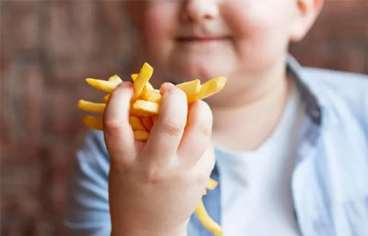 Healthy Food Tips for Children: બાળકને સ્થૂળતાથી બચાવવા અને તંદુરસ્ત રાખવા માટે આ સરળ ટિપ્સ અજમાવો! 1 Healthy Food Tips for Children