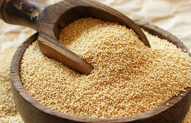 Vegetarian Superfood Rajgiro: 99% ભારતીયો આ શાકાહારી સુપરફૂડથી અજાણ! શરીર માટે અદભૂત ફાયદા 1 Vegetarian Superfood Rajgiro