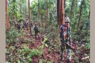 3 Naxalites Killed In Chhattisgarh