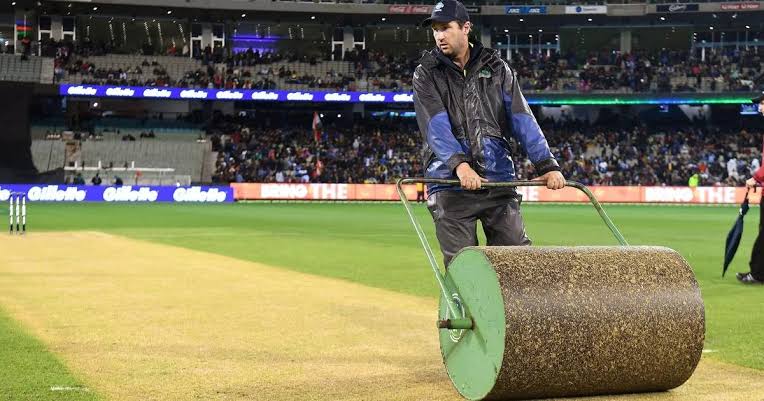 Pitch Curator Career