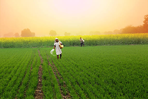 Gujarat Farmers Loan Circular: ખેડૂતો માટે સરકારે માત્ર વચન આપ્યું? ₹5 લાખ પાકધિરાણની જાહેરાત છતાં પરિપત્ર નહીં 1 istockphoto 503646746 612x612 2