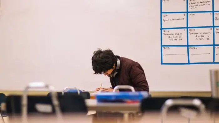 US Education System: અમેરિકન શાળાઓમાં બોર્ડ પરીક્ષાઓ, બાળકો કેવી રીતે પાસ અને નાપાસ થાય છે 1 US Education System