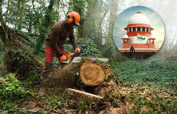 Supreme Court on Tree Cutting: "વૃક્ષ કાપવું એટલે માનવ હત્યા" – સુપ્રીમ કોર્ટનું સખત વલણ, પ્રતિ વૃક્ષ ₹1 લાખ દંડનો આદેશ 1 Supreme Court on Tree Cutting