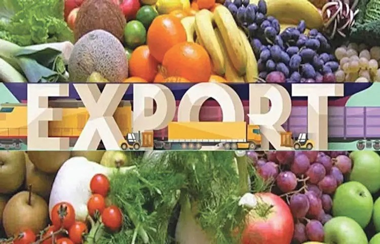 Increase in fruit exports