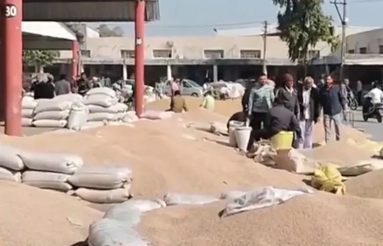 Gujarat Farmer News : રાજ્યમાં ટેકાના ભાવે તુવેરની ખરીદીમાં 10 હજાર ખેડૂતોના રજીસ્ટ્રેશન રદ 1 Gujarat Farmer News
