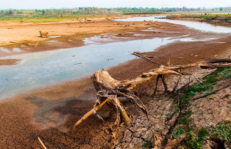 Water Scarcity In Gujarat: ઉનાળાની શરૂઆત સાથે જ પાણી સંકટ, 63 જળાશયોમાં જળસ્તર 30%થી નીચે 1 Water Scarcity In Gujarat