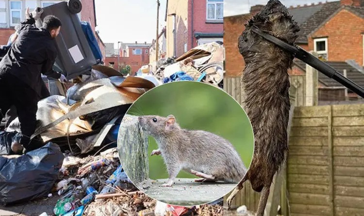 UK Army planners sent over bin strikes