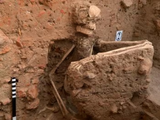 1200 year old skeleton: ગુજરાતમાં ખોદકામથી ૧२०૦ વર્ષ જૂના હાડપિંજરની અનોખી શોધ, વૈજ્ઞાનિકો આશ્ચર્યચકિત! 1 Cscd