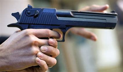 Gun culture in Gujarat: ગનનો ખતરનાક ટ્રેન્ડ: બીજા રાજ્યના લાયસન્સથી ગુજરાતમાં રમાઈ રહ્યો છે 'સીનસપાટાનો ખેલ' 1 OIP 48
