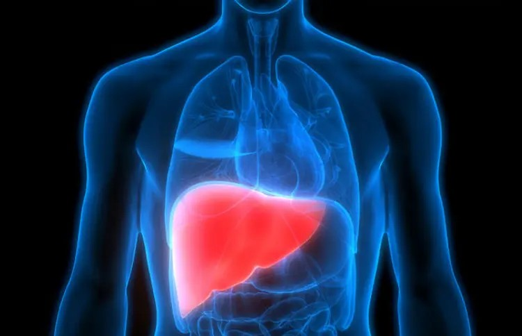 Unhealthy liver