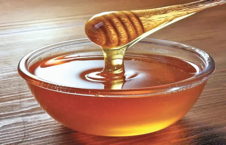 Indias Honey Exports
